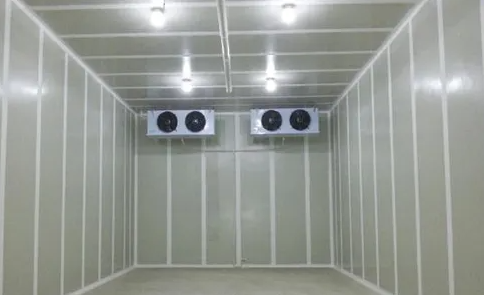 南京氣調(diào)冷庫廠家 南京氣調(diào)冷庫廠家