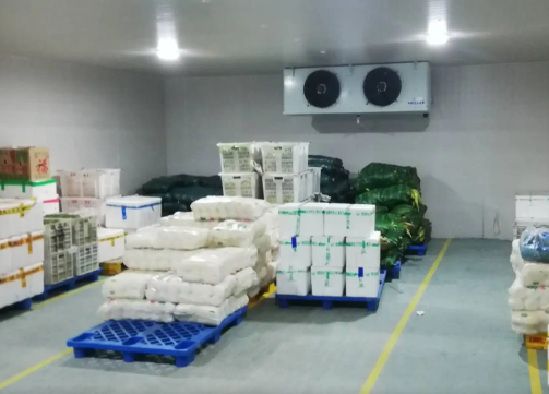 大蒜保鮮冷庫(kù)造價(jià) 大蒜保鮮冷庫(kù)造價(jià)