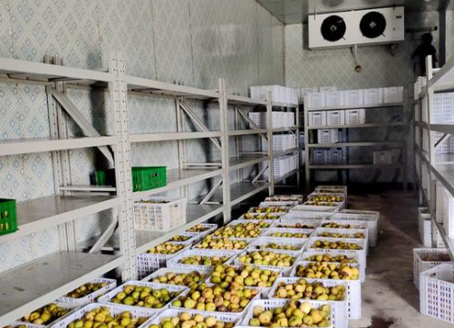 冷庫建造 冷庫建造