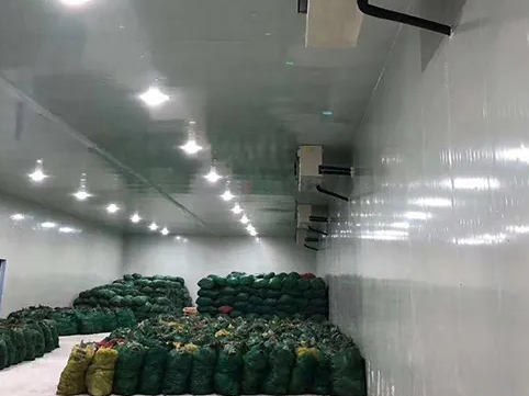 1000平方農產品冷庫安裝工程成本費用多少錢 1000平方農產品冷庫安裝工程成本費用多少錢