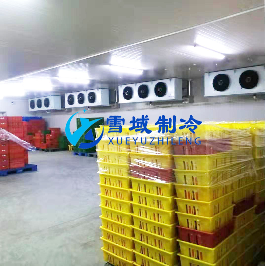徐州衛(wèi)崗速凍冷庫現(xiàn)場(chǎng)圖片 徐州衛(wèi)崗速凍冷庫現(xiàn)場(chǎng)圖片