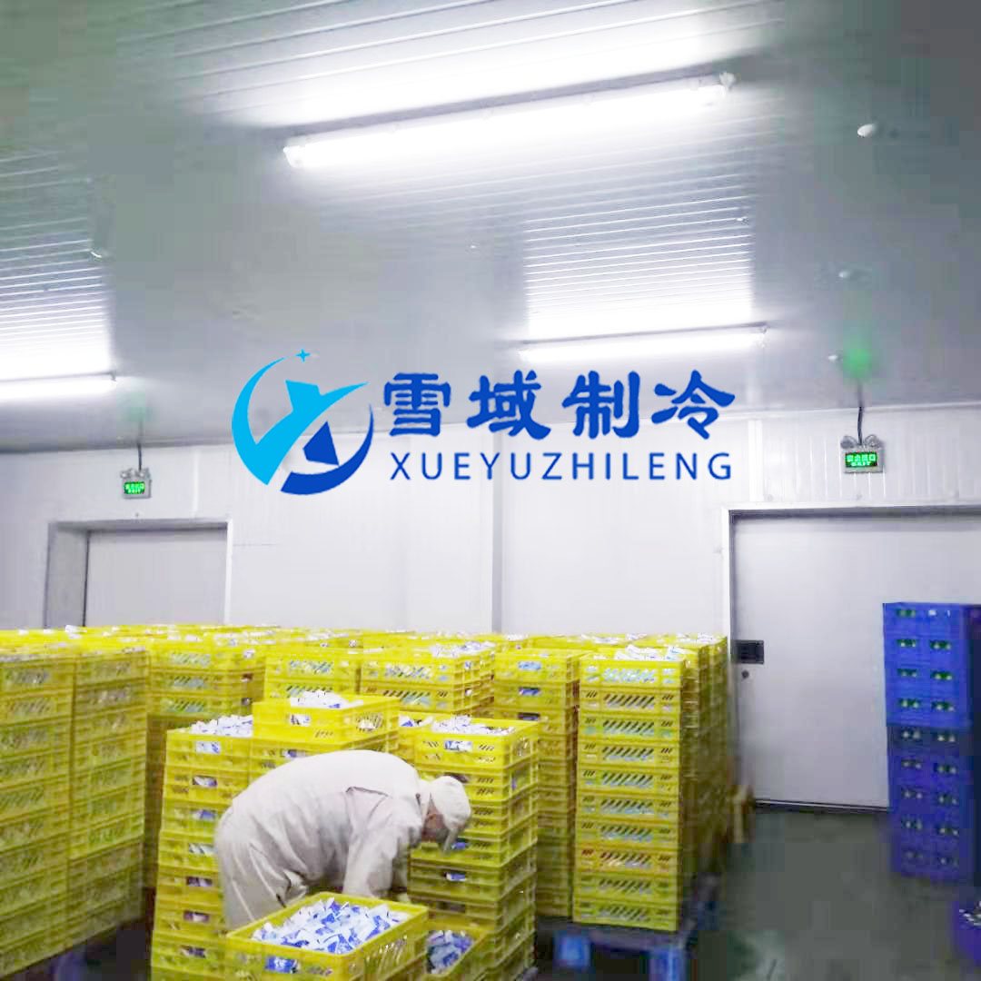 徐州衛(wèi)崗速凍冷庫現(xiàn)場(chǎng)圖片 徐州衛(wèi)崗速凍冷庫現(xiàn)場(chǎng)圖片