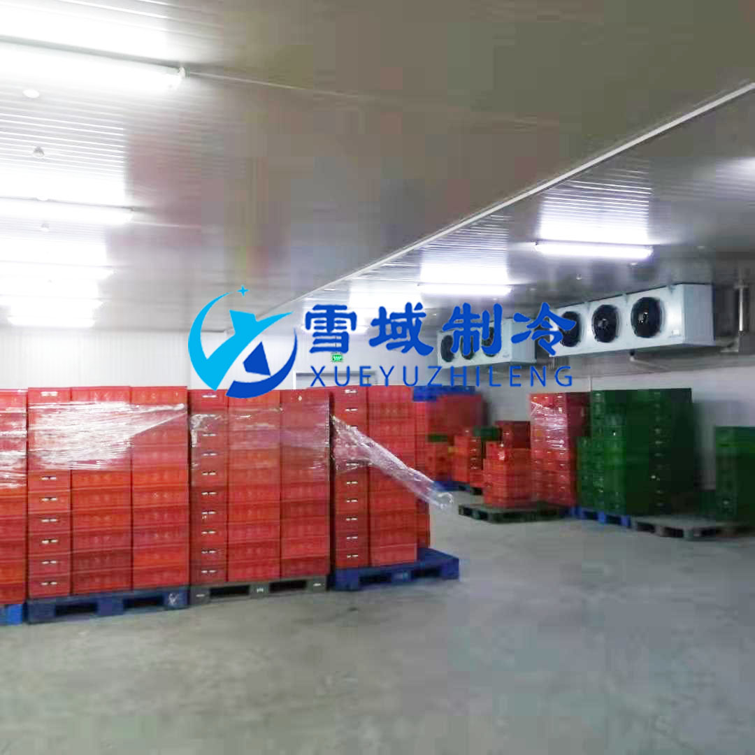 徐州衛(wèi)崗速凍冷庫現(xiàn)場(chǎng)圖片 徐州衛(wèi)崗速凍冷庫現(xiàn)場(chǎng)圖片