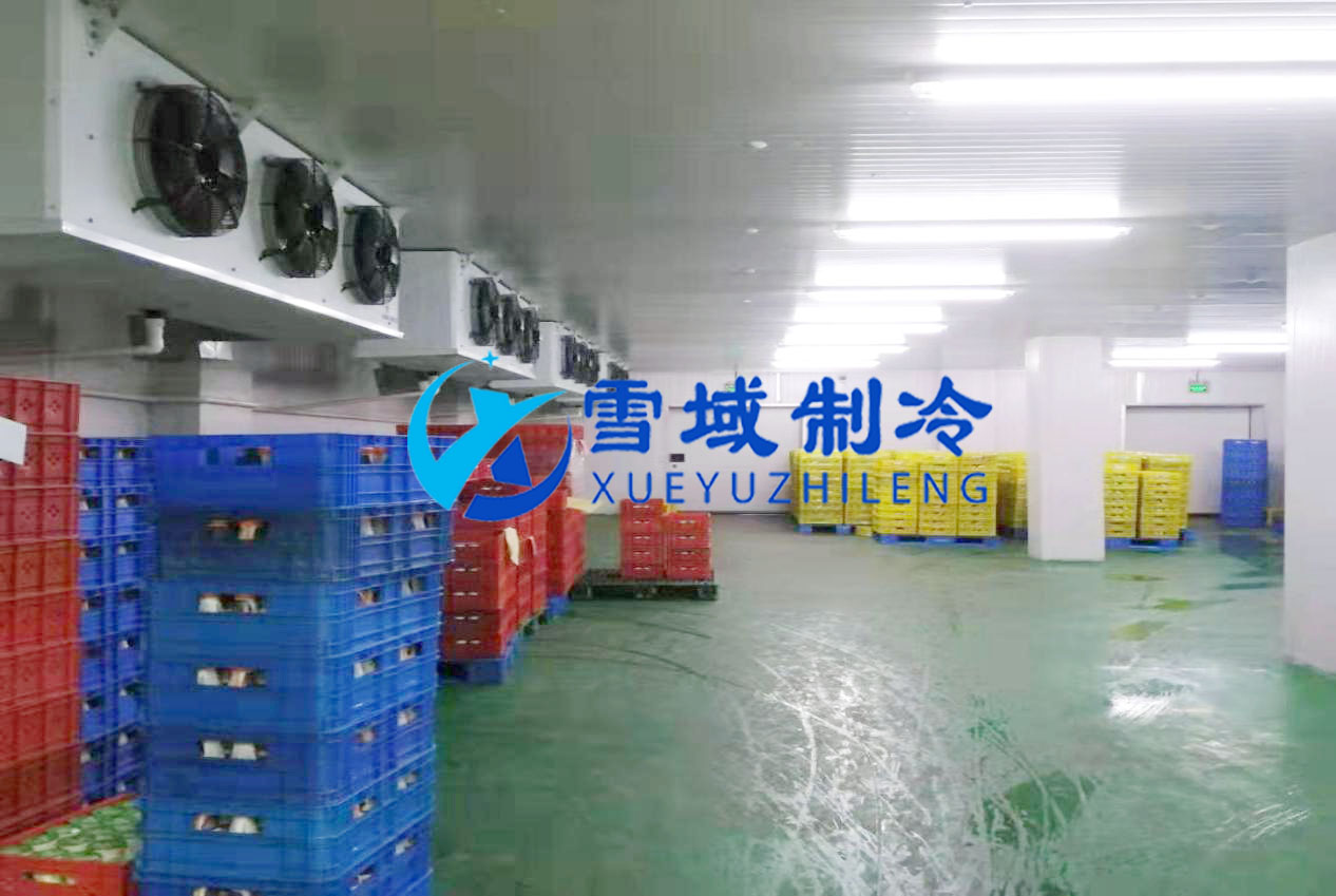 徐州衛(wèi)崗速凍冷庫現(xiàn)場(chǎng)圖片 徐州衛(wèi)崗速凍冷庫現(xiàn)場(chǎng)圖片