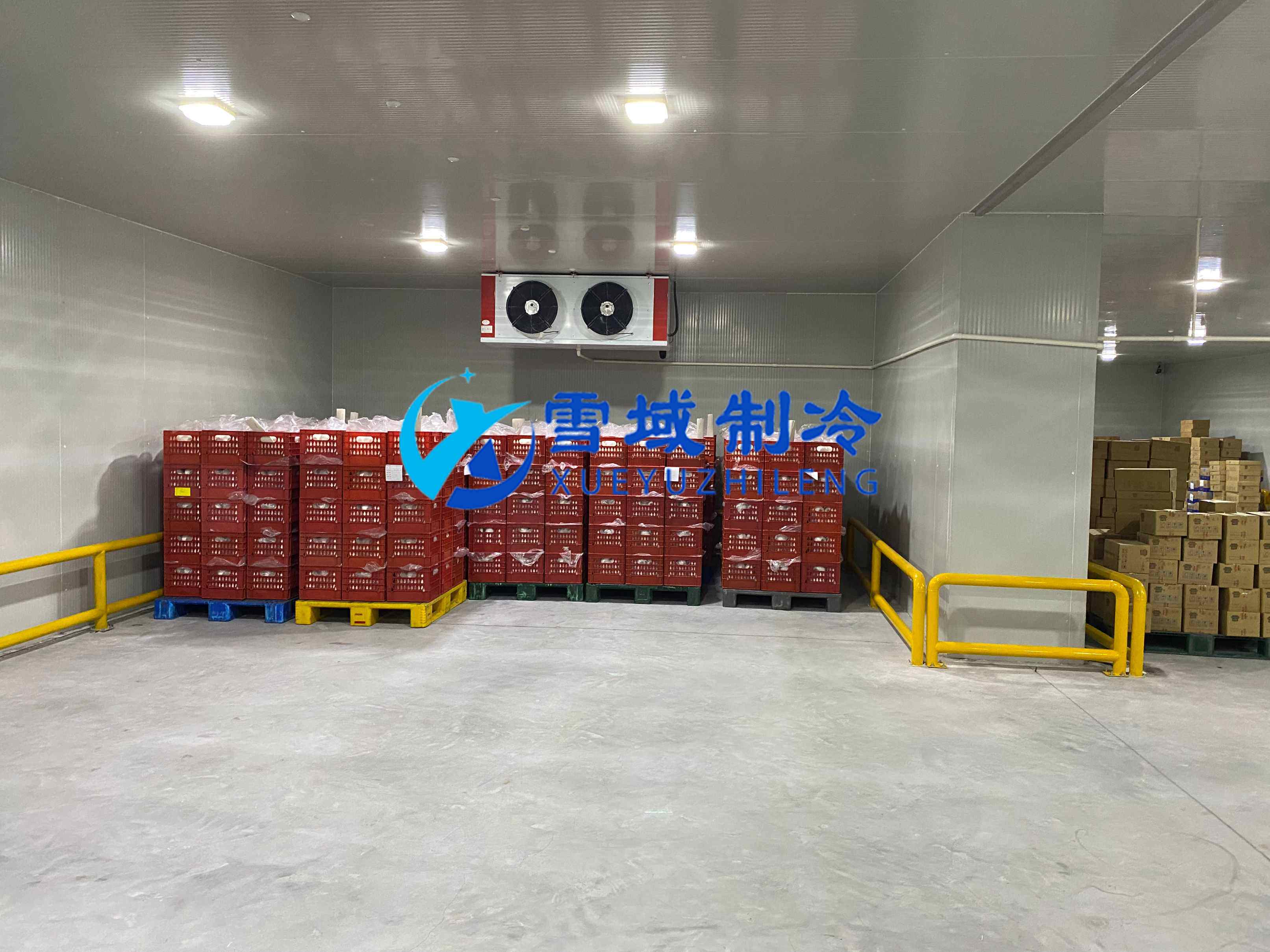 南京江寧速凍乳品冷庫現(xiàn)場(chǎng)圖片 南京江寧速凍乳品冷庫現(xiàn)場(chǎng)圖片