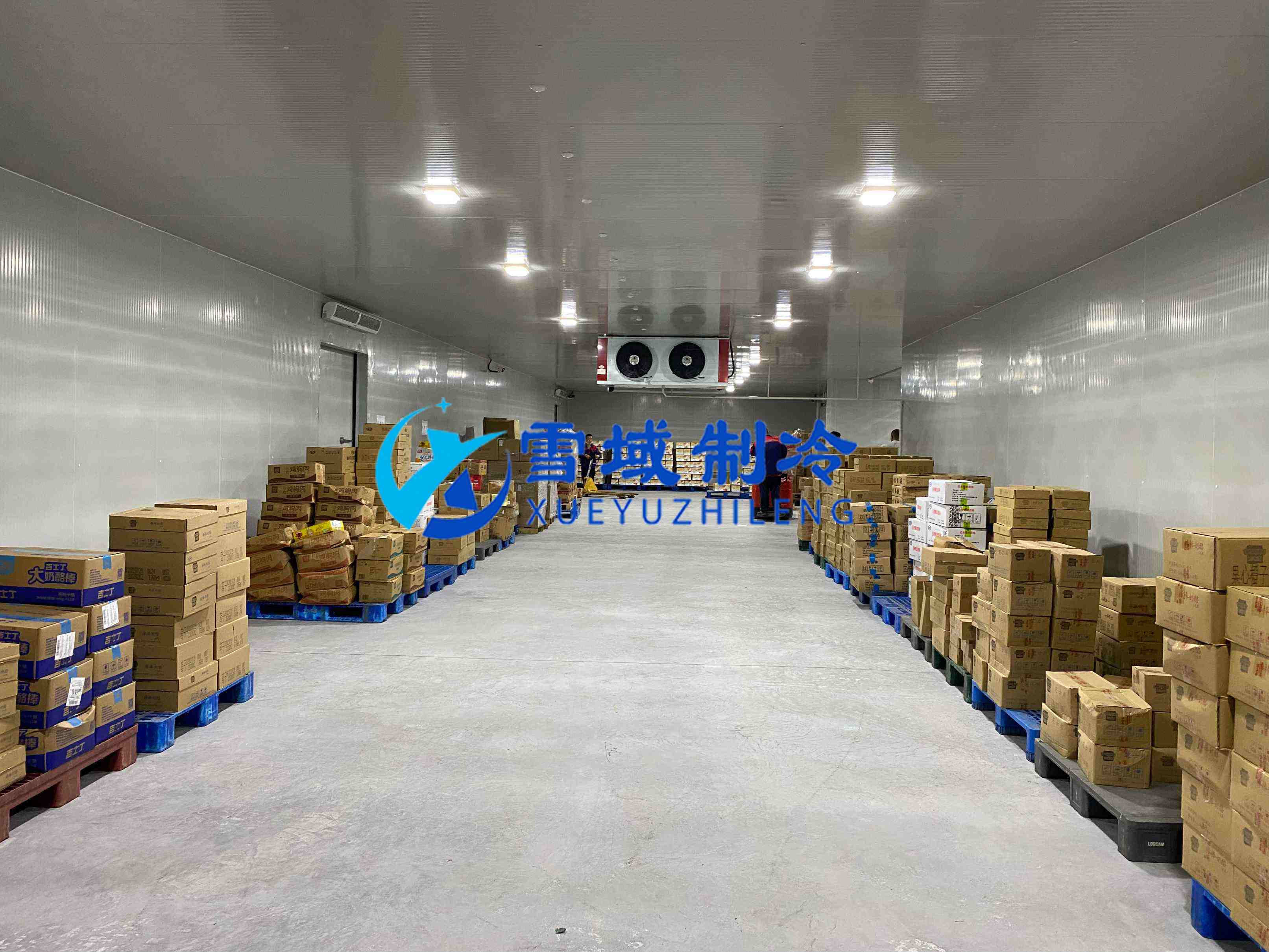 南京江寧速凍乳品冷庫現(xiàn)場(chǎng)圖片 南京江寧速凍乳品冷庫現(xiàn)場(chǎng)圖片