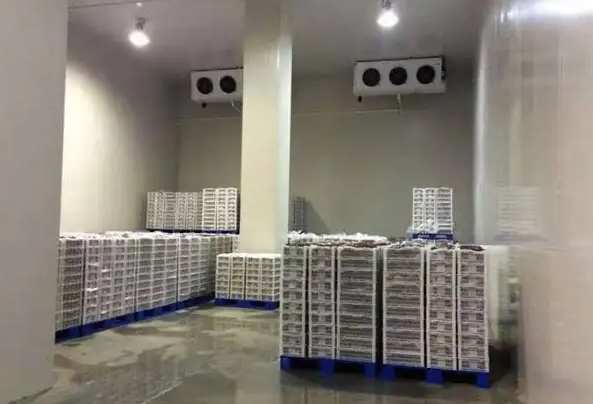 集裝箱冷庫與普通冷庫有什么不同 集裝箱冷庫與普通冷庫有什么不同