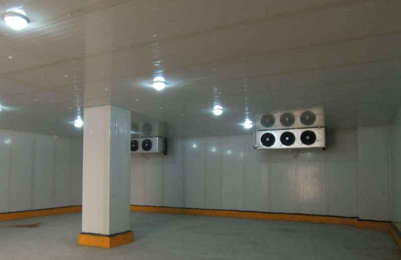 保鮮冷庫中如何正確存儲黃瓜