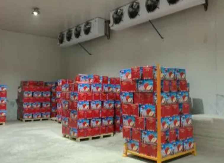 維修一個冷凍庫大約需要多少錢 維修一個冷凍庫大約需要多少錢