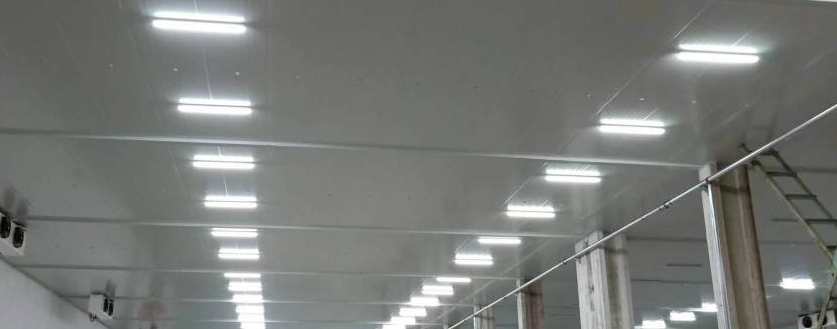 冷庫(kù)安裝什么樣照明燈比較好