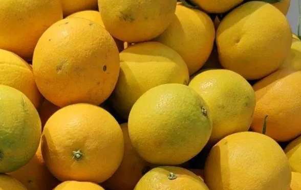 柑橘保鮮庫貯藏技巧方法 柑橘保鮮庫貯藏技巧方法