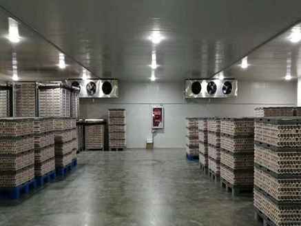 建一個(gè)一百平的 冷庫(kù)大約需要多少錢 建一個(gè)一百平的 冷庫(kù)大約需要多少錢