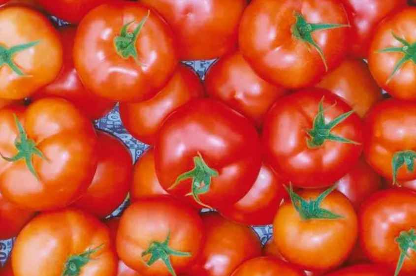 建1000平方米番茄氣調保鮮冷庫造價多少錢 建1000平方米番茄氣調保鮮冷庫造價多少錢