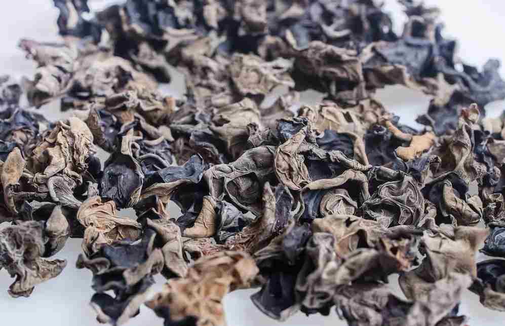 南京木耳保鮮冷庫(kù)安裝大概需要多少錢