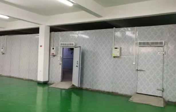 安裝一個急凍速凍冷庫要多少錢