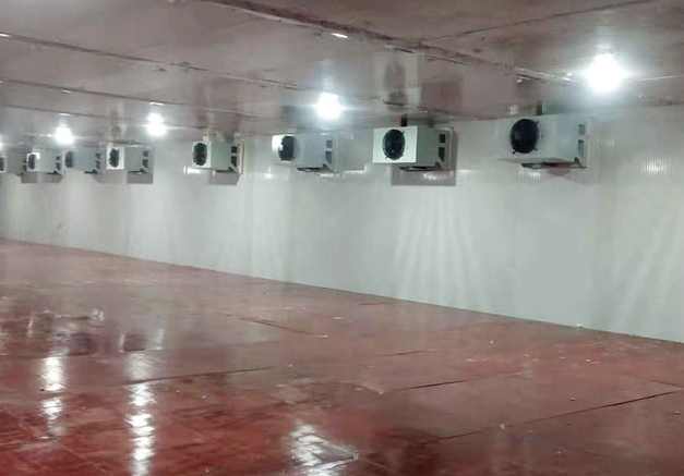 蔬菜儲(chǔ)藏冷庫(kù)造價(jià)多少錢