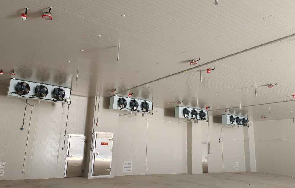 獼猴桃進(jìn)冷庫(kù)前注意事項(xiàng)有哪些