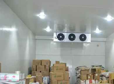 蔬菜儲(chǔ)藏冷庫(kù)造價(jià)多少錢