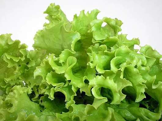 冷庫蔬菜保鮮多少度? 冷庫蔬菜保鮮多少度?