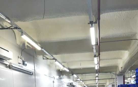 什么是預冷庫,大概多少錢 什么是預冷庫,大概多少錢