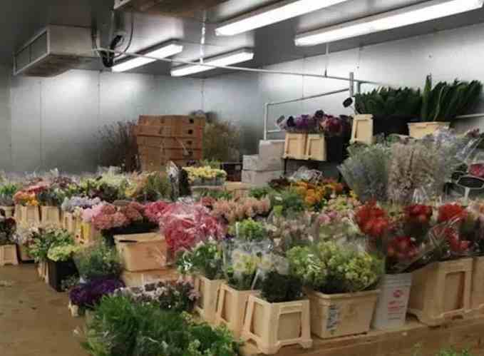 花卉冷庫存儲溫度要求標準 花卉冷庫存儲溫度要求標準