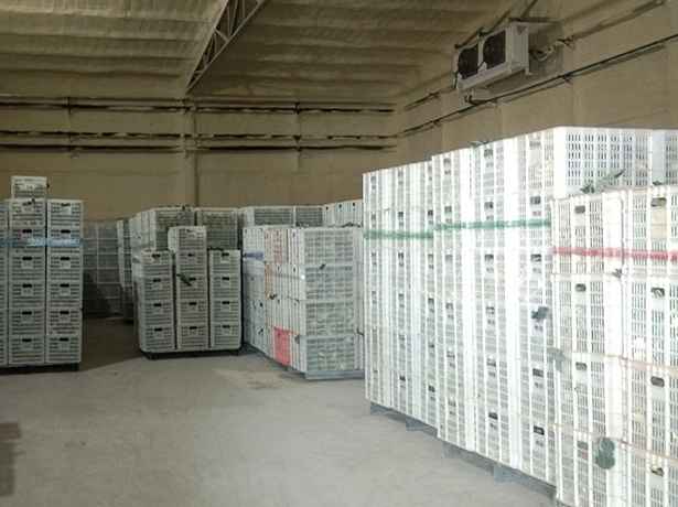 冷庫設(shè)計的基本原則和要求