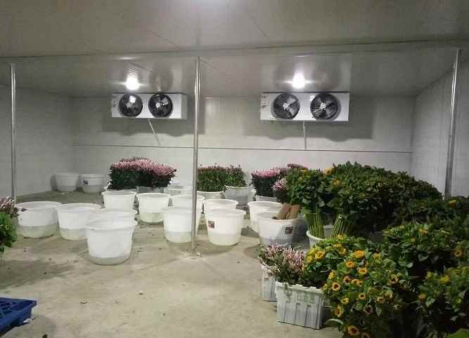 冷庫維修時需要注意什么