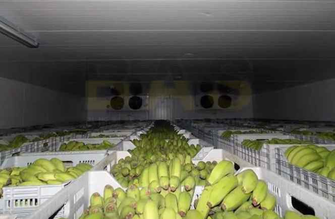 安裝水果保鮮庫(kù)多少錢一平方