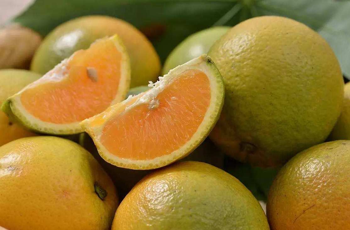 橙子氣調冷庫能保鮮多久