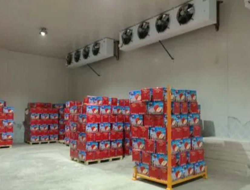 蘋果冷庫儲存方法及溫度是多少 蘋果冷庫儲存方法及溫度是多少