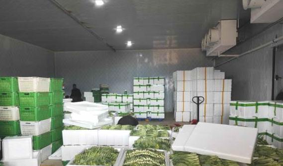 蔬菜保鮮冷庫建設(shè)方案及流程 蔬菜保鮮冷庫建設(shè)方案及流程