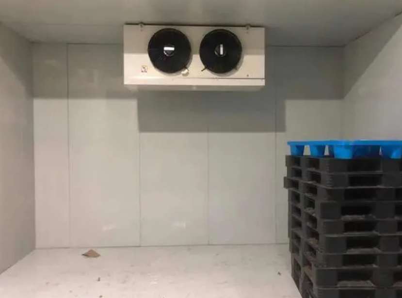 冷庫保鮮粽子需要多少度