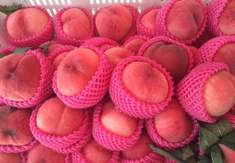 建一個(gè)200平米水蜜桃冷庫(kù)多少錢 建一個(gè)200平米水蜜桃冷庫(kù)多少錢