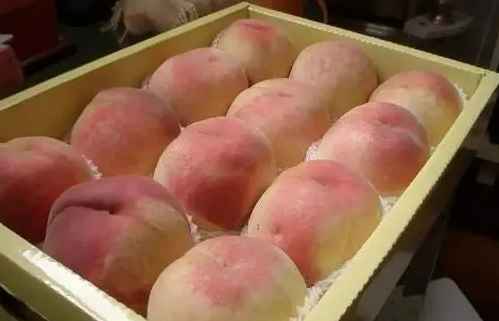 水蜜桃冷庫保鮮技術(shù)要求有哪些 水蜜桃冷庫保鮮技術(shù)要求有哪些