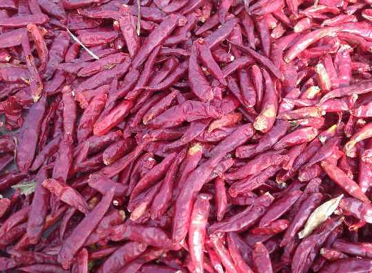 冷庫辣椒運(yùn)輸打冷多少度